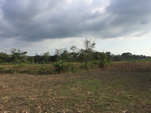 Imagen 13 de 14 de Terreno En Comalcalco A 20 Minutos De La Refinería Dos Bocas