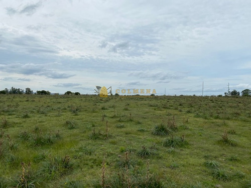 Campo En Garzon - Ideal Para Uso De Descanso - Consulte!!!!- Ref: 3606