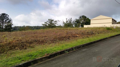 Terreno À Venda, 377 M² Por R$ 179.000,00 - Itoupava Central - Blumenau/sc - Te0307
