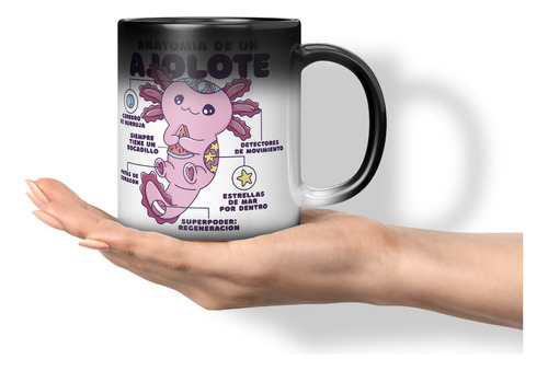 Taza Magica Cambia Color Anatomia De Un Ajolote 11 Onzas