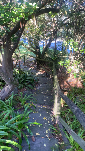 Imagen 6 de 26 de Alquiler Anual Casa Punta Del Este