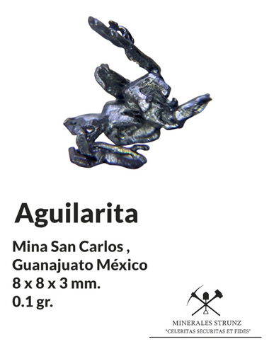 Mineral Plata Mineral Raro Aguilarita Localidad Tipo #3 (Usado)