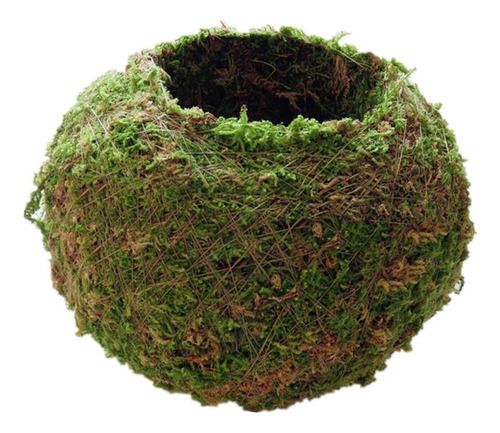 Liuyiyi Maceta De 3 Bolas Er Para Bonsái, 18 Cm