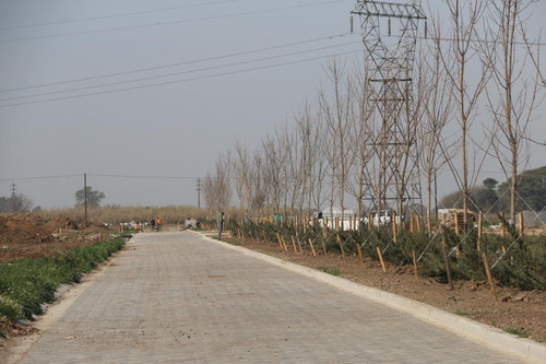 Imagen 4 de 28 de Ecotierra Sur - 300 M2