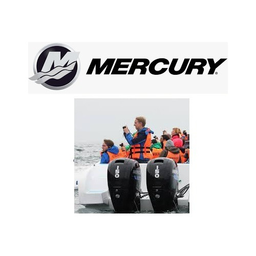 Mercury 25 Hp Sea Pro - 2 Tiempos - Motor Fuera De Borda