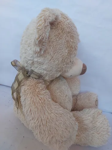Oso Peluche