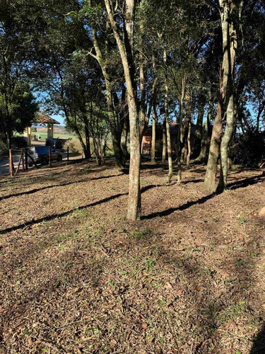 Imagem 13 de 14 de Terreno Rural - Chacrinha - Bairro Passa Dois - Lapa/pr