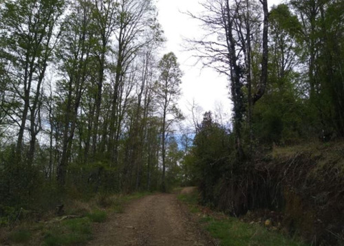 Agrícola Campo O Inmobiliario Loteo En Venta En Panguipulli