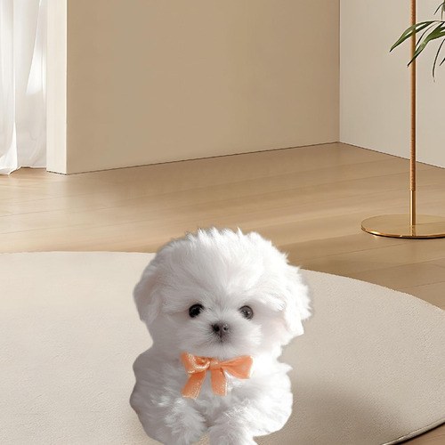Toy De Perro De Felpa Electrónica Interactivo Interactivo
