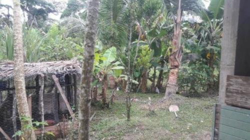 Imagem 4 de 4 de Chácara À Venda Com 2 Quartos Em Itanhaém-sp | 7713-pc