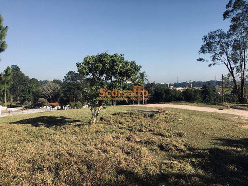 Chácara Com 3 Dorms, Olaria, Itapecerica Da Serra - R$ 4 Mi, Cod: 4351 - V4351