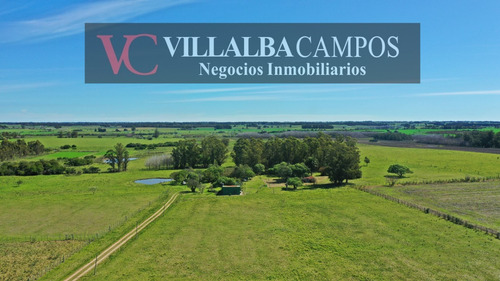 Chacra De 26 Hectàreas En Pantanoso, Sauce, Canelones