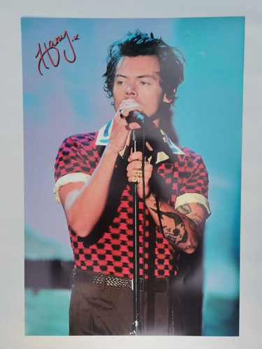 Poster Harry Styles 