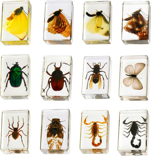Colección De Insectos Resina De 12 Piezas - Juego Educ...