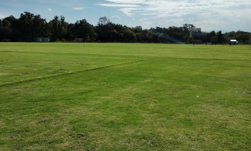 Traspaso De Terreno En Los Antiguos Campos De Tecolotes