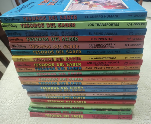 Walt Disney Presenta Tesoros Del Saber 21 Libros (Usado)