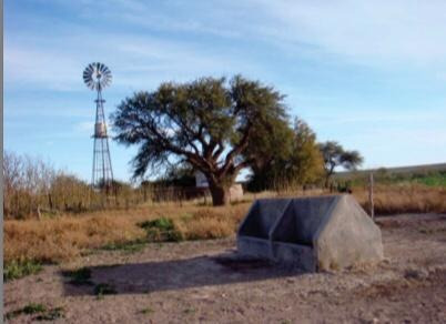 Imagen 9 de 12 de Campo - La Pampa. Caleu Caleu