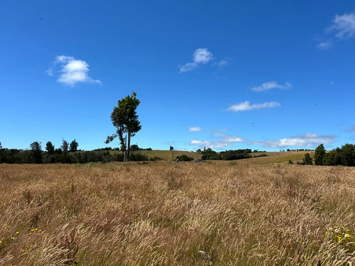 Venta Pc. 5.000 Mts.2 Despejada Fdo. Bellavista Los Muermos