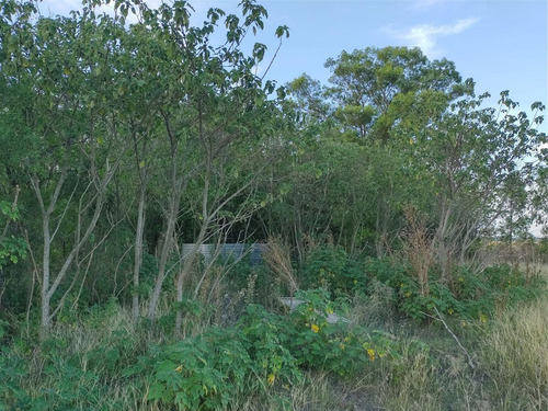 Imagen 5 de 9 de Campo En Sarandi (zona Esceula N° 17)
