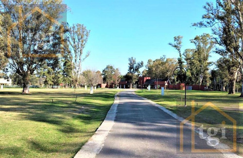 Imagen 10 de 12 de Lote Interno En Venta En El Ensueño