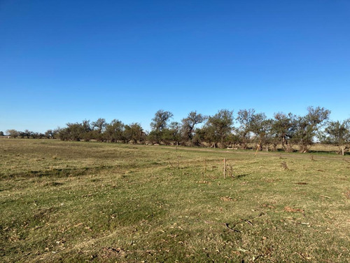 Campo En Venta Las Flores