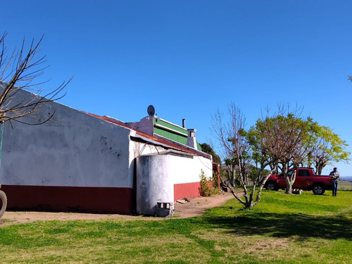Campo De 397 Has - Maldonado, Aiguá