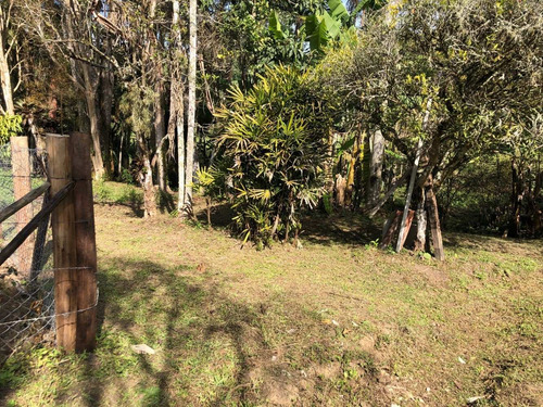Imagem 13 de 14 de Chacara Para Formar, Ou Ate Residencia