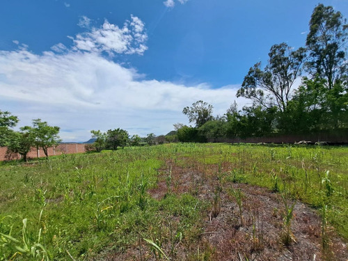 Rancho En Venta, Cuautla, 65,560 M2