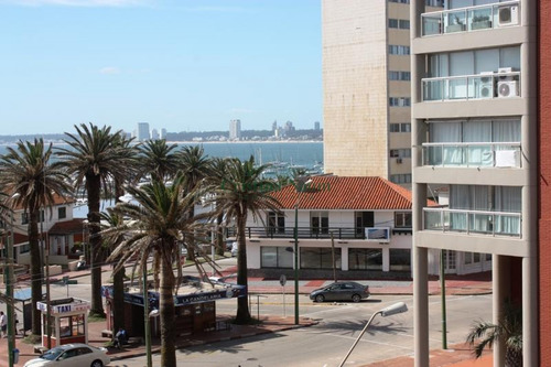 Apartamento En Península 1 Dormitorio Con Balcón- Ref: 37781