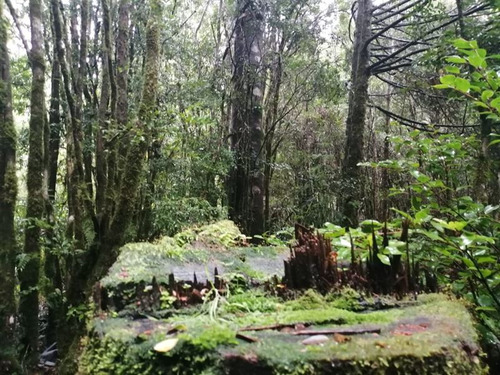 Sitio En Venta En Puerto Varas