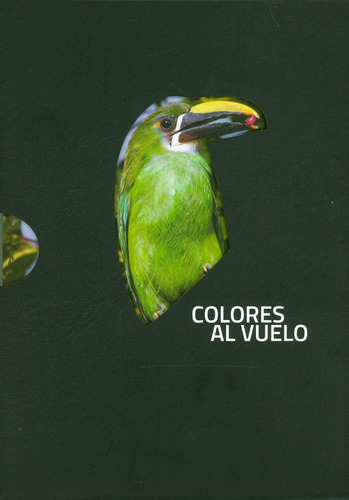 Colores al vuelo, de Jorge Avendaño, José Moreno y Fernando Rondón. Serie 9588819624, vol. 1. Editorial U. Industrial de Santander, tapa blanda, edición 2017 en español, 2017