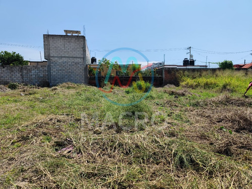 Terreno En Venta En Tetelcingo Con Conexión A Servicios