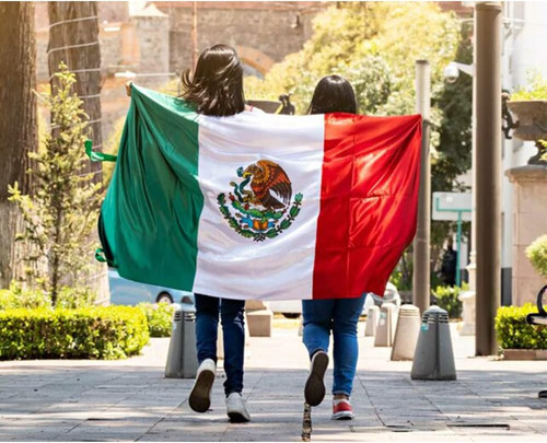 Bandera De Mexico Bradford De 1.8mtrs X 3mtrs Para Exterior