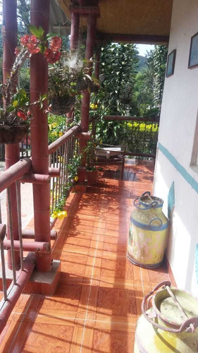 Imagen 29 de 30 de Se Vende Finca 2 Cuadras Salento