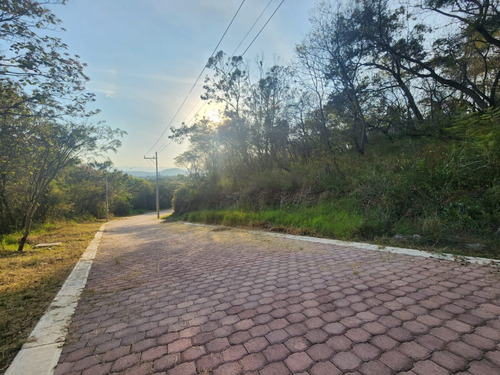 Venta Lote Gladiola 37 Con Vistas Panorámicas, Proyecto Incluído Y Todos Los Servicios Cerca De Las Amenidades De Fracc Rancho San Diego Ixtapan De La Sal Edomex