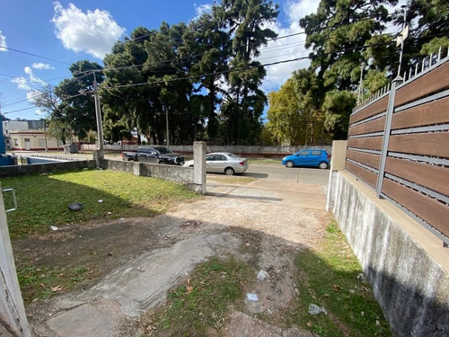 Imagen 3 de 9 de Negocio En Venta En Paso Molino (ref: Rgo-916)