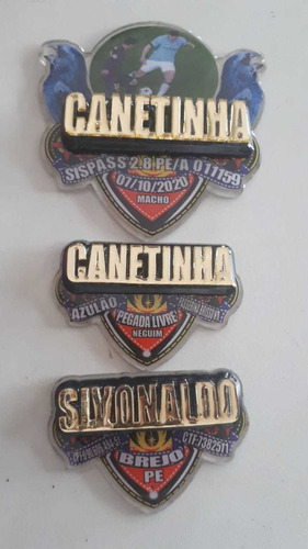 Imagem 6 de 8 de Kit Placas De Pasarinho