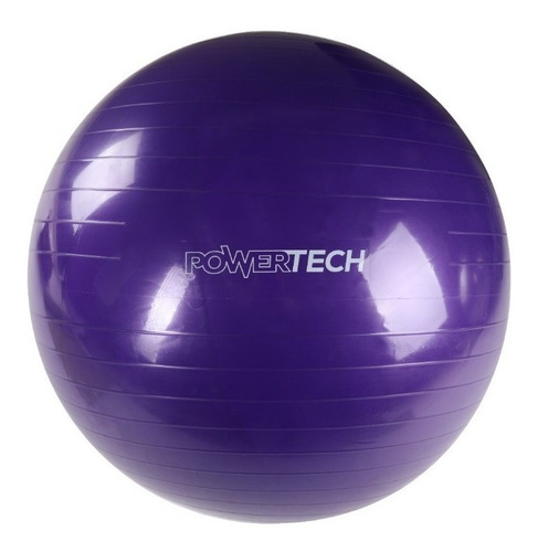 Pelota Yoga Esferodinamia Suiza 75 Cm Gym Ball Importada Fit