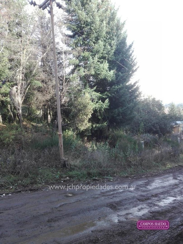 Imagen 6 de 14 de Lotes Comerciales En El Mercado - Villa La Angostura