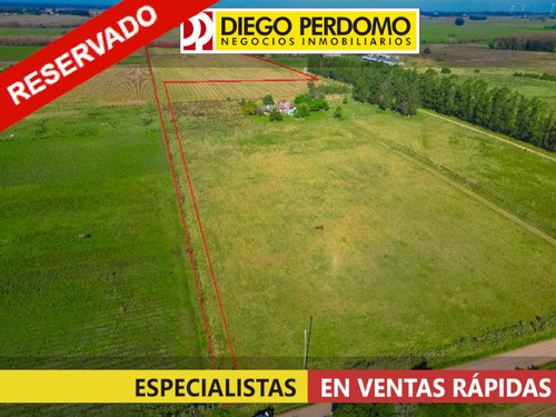Chacra De 10ha En Venta, Colonia Italia