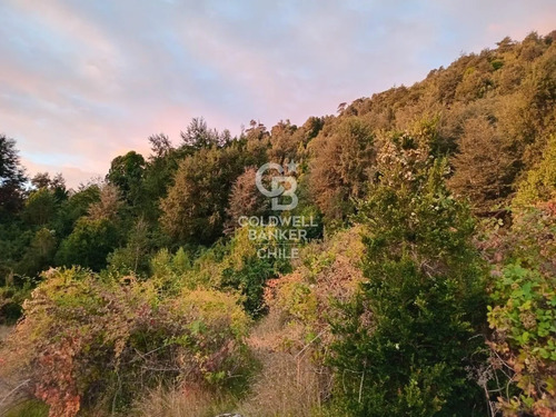 Hermoso Terreno Con Vista Al Lago Ranco