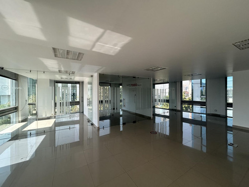 Oficina En Renta - Thiers Piso 5 - 270 M2