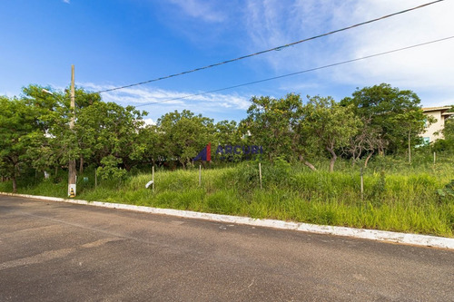 Imagem 14 de 16 de Lote 1000 M² Em Lagoa Santa (mg) Venda - 10094