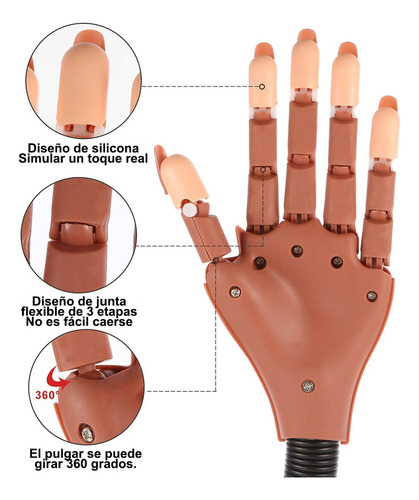 Ciicii Mano Practica Uñas, Manos Y Dedos Para Practicar Mani