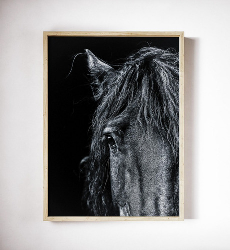 Cuadro Modernos Caballo Negro Marco Y Vidrio Incluido 30x40