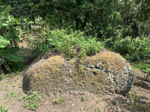 Rancho En Venta La Concepción Ver, 15 Mins De Xalapa Ver.