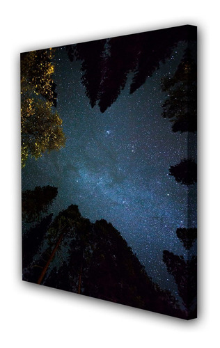 Cuadro 50x75cm Galaxia Estrellas Constelaciones M4