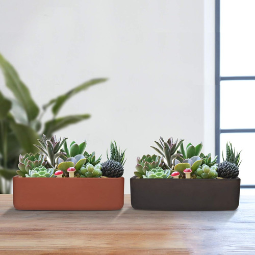 Maceta Rectangular De Terracota Poco Profunda De 10 Pulgadas