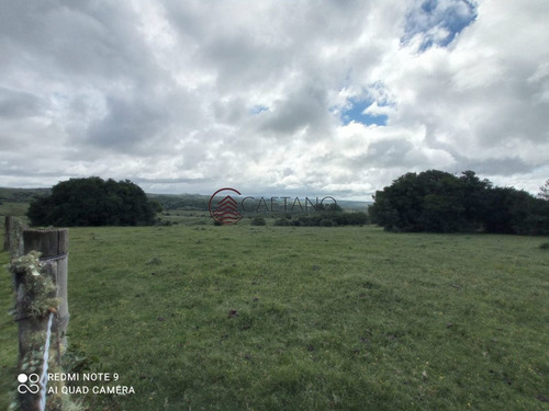 Imagen 18 de 25 de Venta De Campo, Maldonado.campo De 41 Hectáreas, Próximo A Pueblo Edén - Pueblo Eden