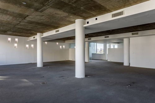 Imagen 12 de 30 de Oficinas Alquiler Palermo